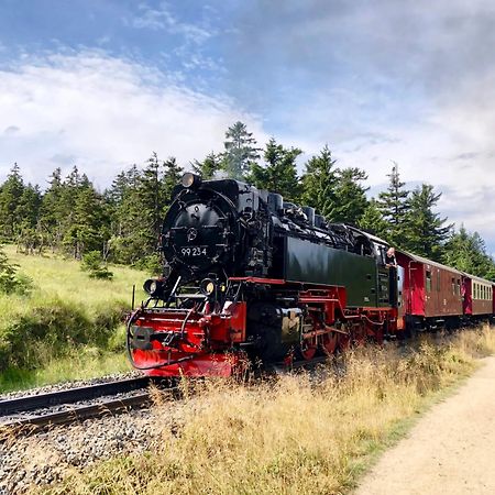 Fewo Fuchsbau Mit Dampfdusche #Kamin#Innenstadtnaehe#Netflix Von Harztraveler Bad Harzburg Bagian luar foto