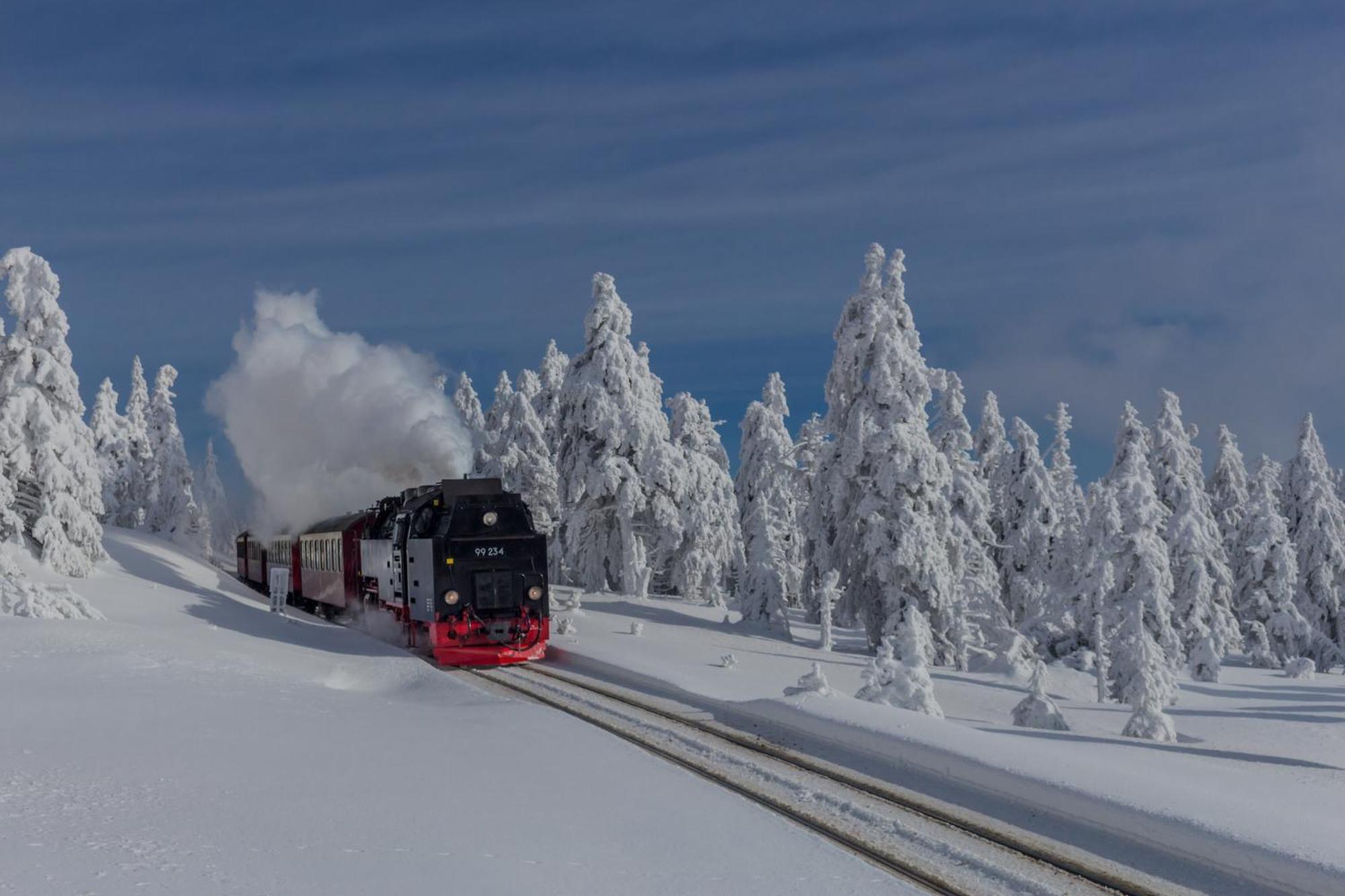 Fewo Fuchsbau Mit Dampfdusche #Kamin#Innenstadtnaehe#Netflix Von Harztraveler Bad Harzburg Bagian luar foto